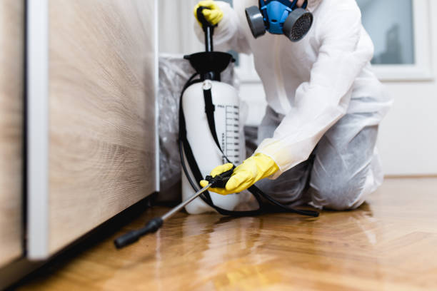 Pest Prevention Services in Laureldale, PA