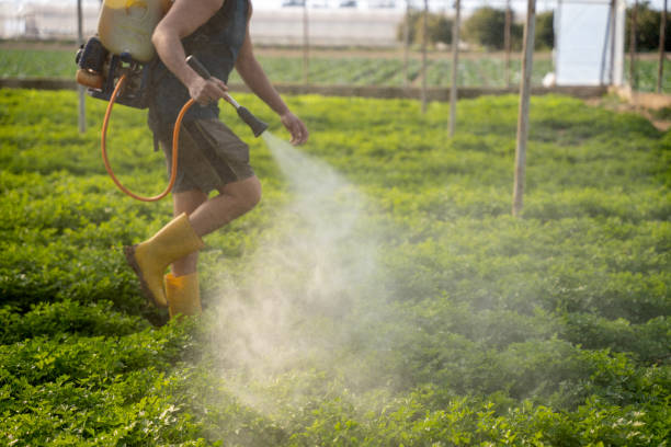 Best Pest Removal Services  in Laureldale, PA