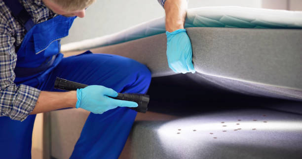 Best Flea Control Services  in Laureldale, PA